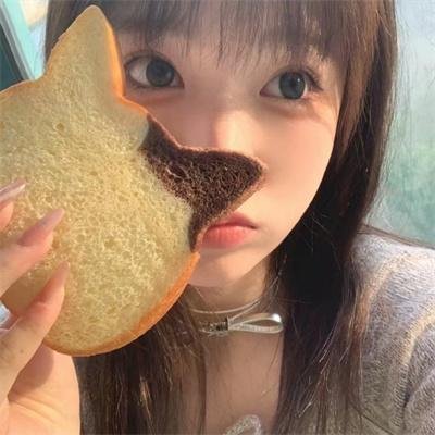 猫和金丝雀